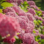 Bed & Breakfast Le Clos De L'ermitage 3*