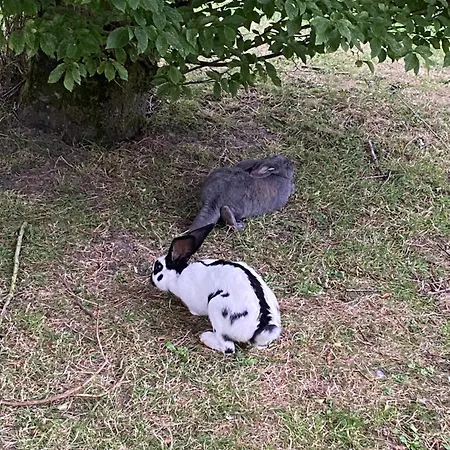 Le Clos De L’ermitage Saint-Josse
