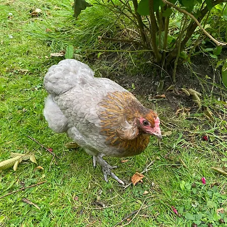 Le Clos De L’ermitage Couette-café 3*