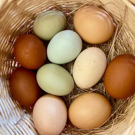 Couette-café Le Clos De L’ermitage