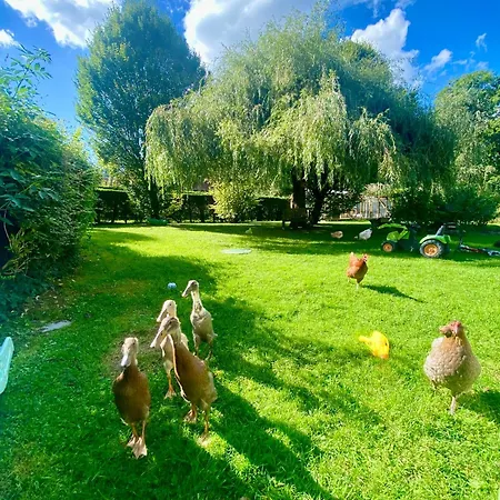 Le Clos De L'ermitage Bed & Breakfast Saint-Josse
