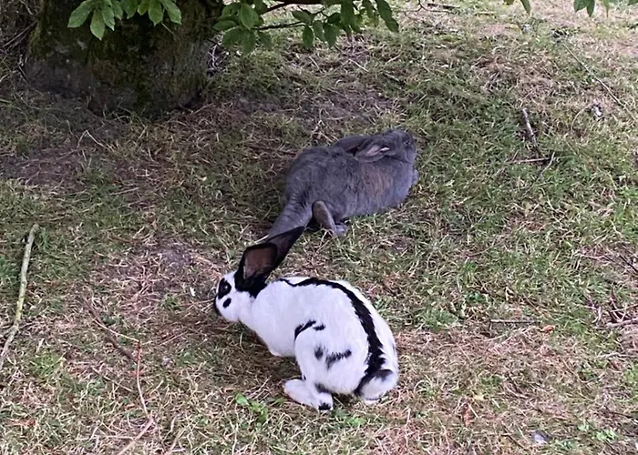 Le Clos De L'ermitage Saint-Josse