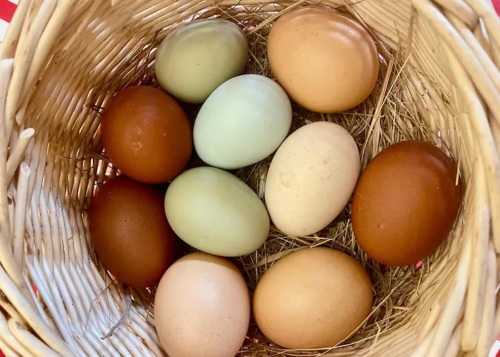 Bed & Breakfast Le Clos De L'ermitage